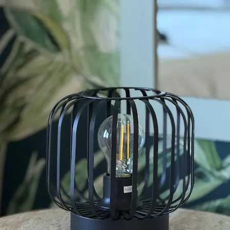 Too Coool Coralli アパート