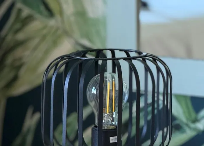 Too Coool Coralli Apartmán